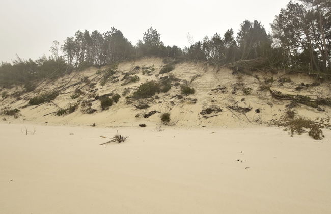 Tasteful Villa on the Polish Coast in Beautiful Nature, Lovely Garden, Sauna - Photo 35