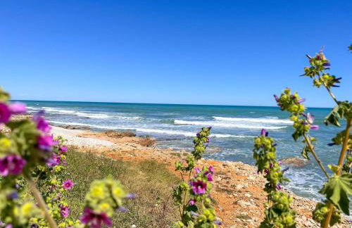 Villa Las Rotas - Foto 57