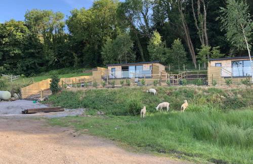 Rhossili Bay Secret - Cabin - Landimore - Foto 74