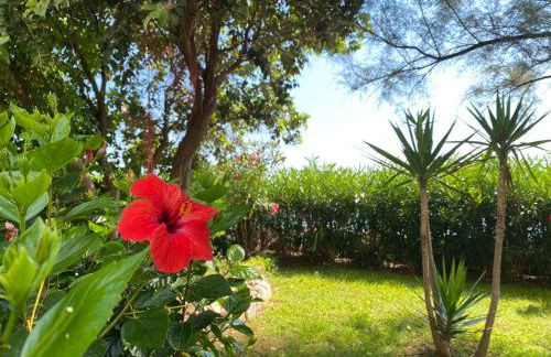 Seaside Villa with private garden - Foto 6