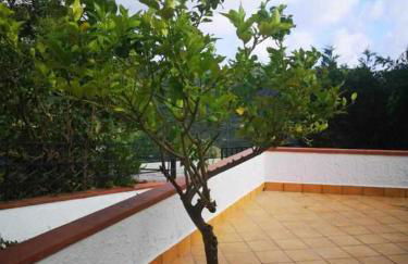 Itaca Rooms Palinuro - Foto 21