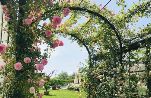 Relais Tenuta del Gallo - Foto 51