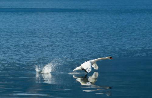 In Riva al Lago di Iseo Residenza Primo Piano - Foto 61