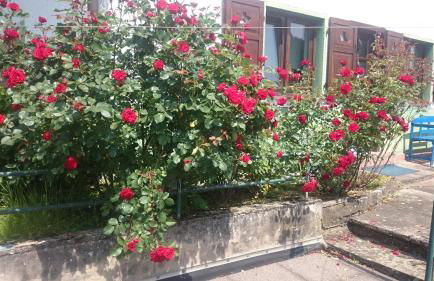 La casita linda - Foto 6