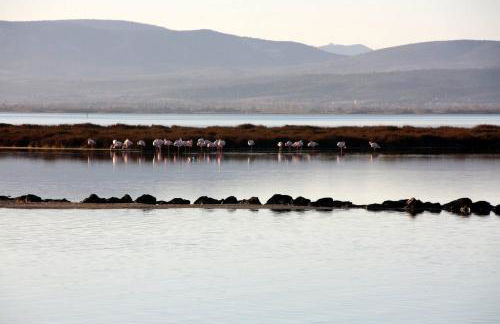 Res Port St.Ange - Photo 23