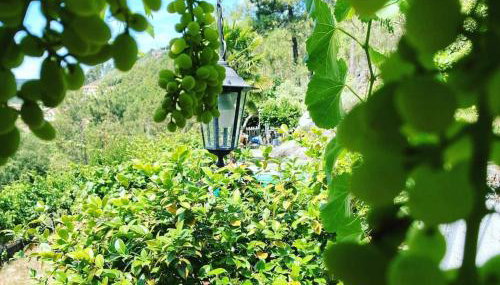 Casa de Férias completa com Piscina privada, Casa do Vale - DOURO, independente, vistas deslumbrantes - Foto 5, Garden, Garden view