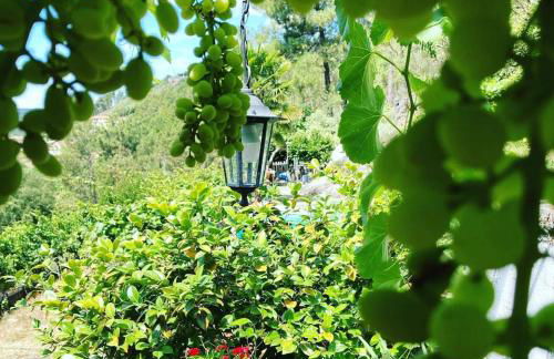 Casa do Vale - DOURO - Foto 19