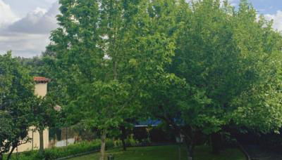 Casa Dos Tinocos - Foto 2