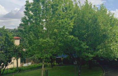 Casa Dos Tinocos - Foto 2