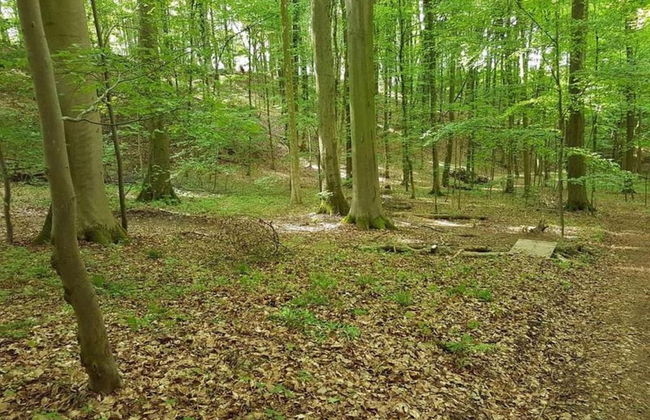 Ferienwohnung in Bischoffingen - Foto 34