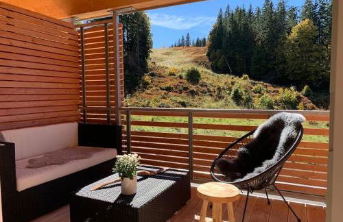 Stube9 am Feldberg, direkt an der Skipiste, Ski in-Ski out - Photo 34