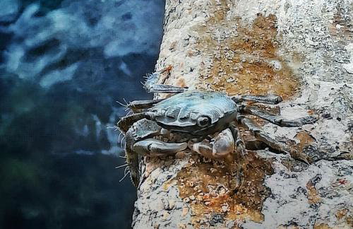 Kuća za odmor Marina - Photo 41