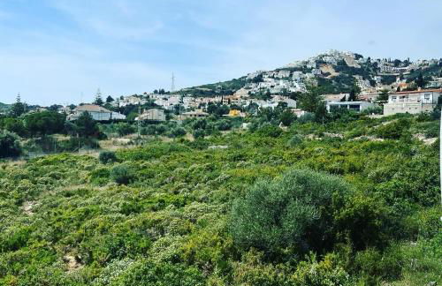 Hola Apartments P28 - Photo 8