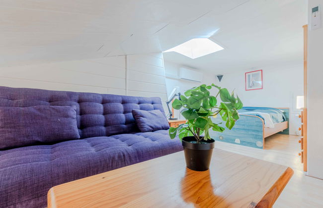 Santa Barbara - Foto 18