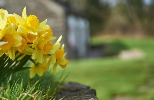 Penuwch Boathouse, Waterside Cottage with indoor Pool, Sauna & Parking - Photo 20