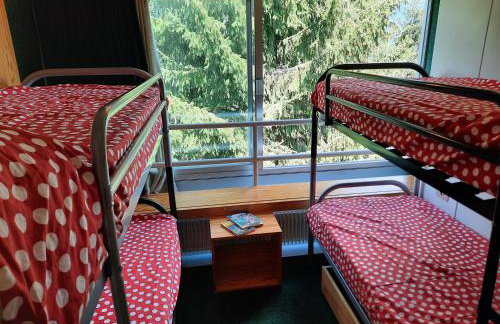 Vetrate sul bosco - Foto 4