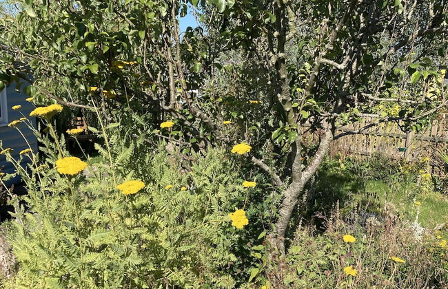 2bed Cabin w/ Parking Near Snowdonia National Park - Photo 16