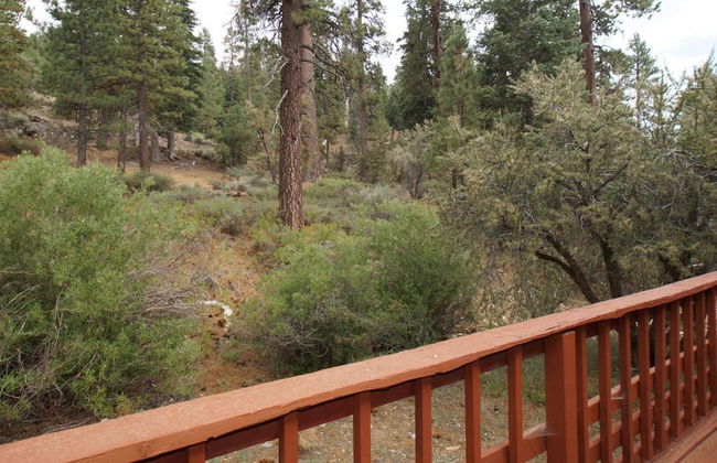 Canyon Cabin - Foto 14