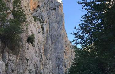 Apartments Merion - Foto 21