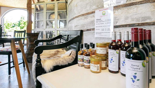 Holiday Home in BjÃ¸rnÃ¸ - Photo 5