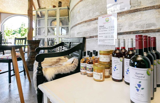 Holiday Home in BjÃ¸rnÃ¸ - Photo 5