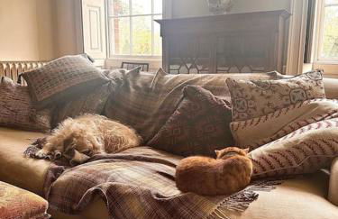 CRESSY HALL - Historic Grade II Listed Manor, Gorgeous Topiary Garden - Foto 39