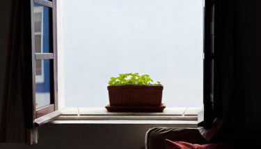 Casa Grande - Amieira Houses - Foto 4