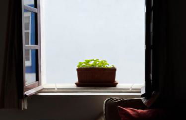 Casa Grande - Amieira Houses - Foto 4