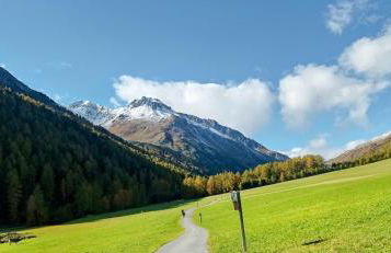 Zangerlehof - Foto 21