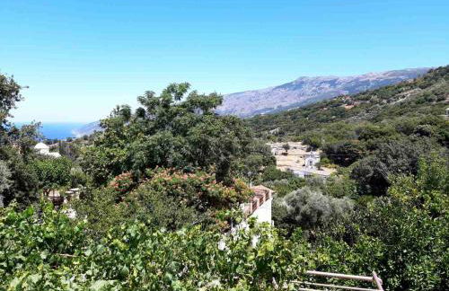 Traditional house in Akamatra square - Photo 5