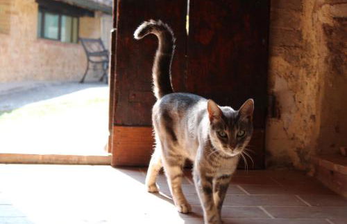 Agriturismo Il Caggio - Foto 64