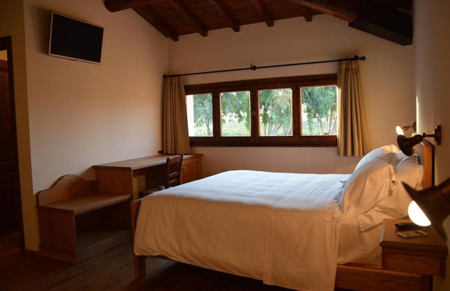 Fattoria Lucciano - Foto 14