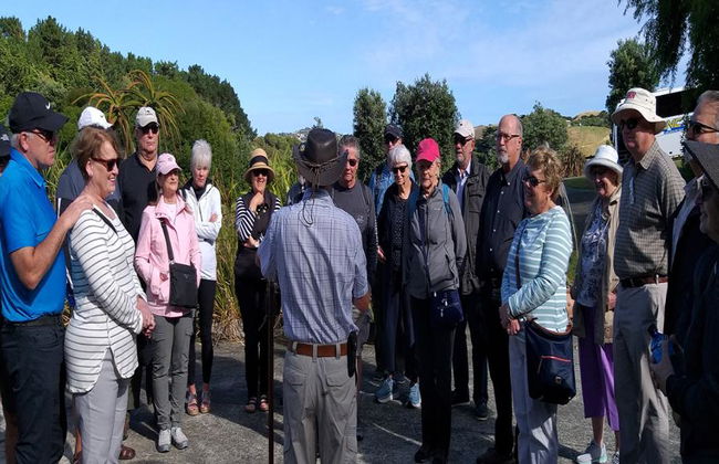 Exklusive Shenandoah - Halbtagestour - Foto 4