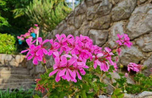 Zgora mora-above the sea-peacefull,family frendly - Foto 38