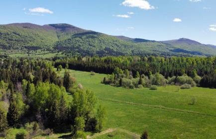 DoMarka całoroczny dom w Bieszczadach - Foto 39