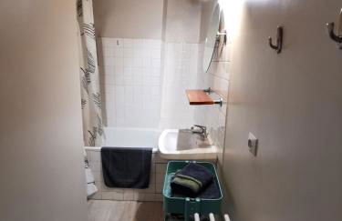 Appart Gîte Les Oiseaux- face Loire Quai du Châtelet - Foto 9