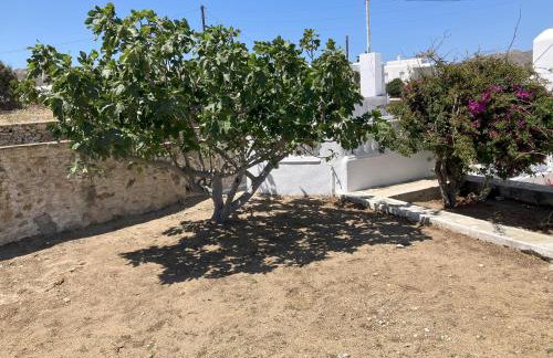Lina's House - Foto 30