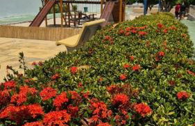 Apartamento Aluguel Morro Branco. - Photo 25