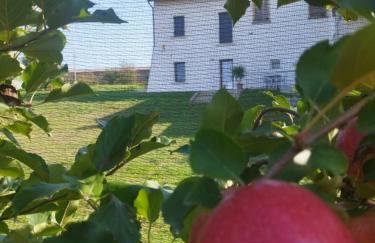 Agriturismo il meleto - Foto 17
