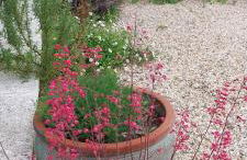 Maison Plume en Provence - Foto 13