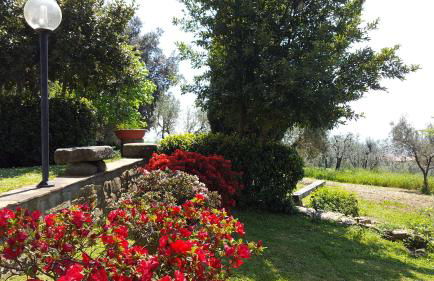 Il Palagio - Foto 39