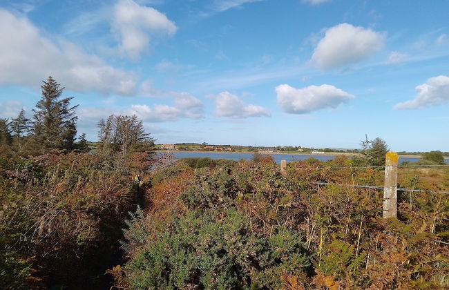 6m Emperor Tent, Near Whitby, With log Burner - Foto 15