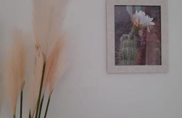 Bungalow La Palmera - 2 bedroom - PLAYA ROCA residence sea front access - Pool View - Free AC - Wifi - Foto 21