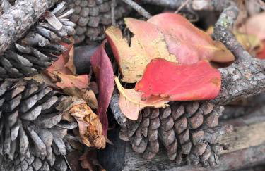 Casale Kintsugi - Foto 56