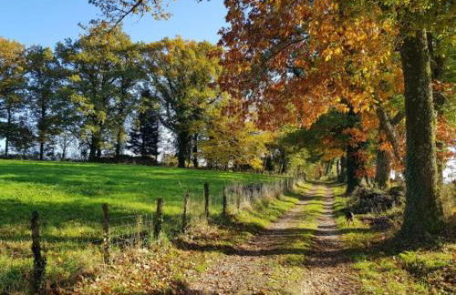 Very nice cottage with studio on a domain with heated pool - Foto 51