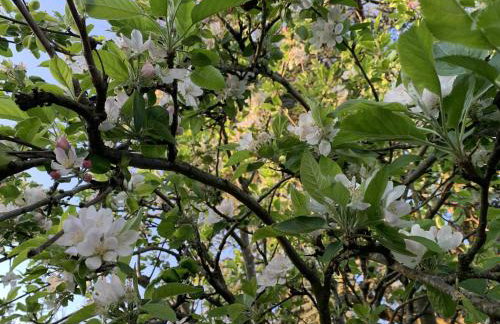 Riverwalk Apartment One - Photo 45