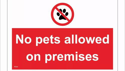 Haven Haggerston castle caravan hire - Foto 2