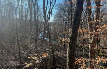 Retreat on Lake Milton - Foto 14