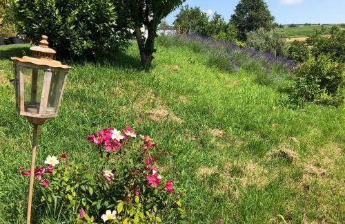 Cascina Vicentini - Foto 36