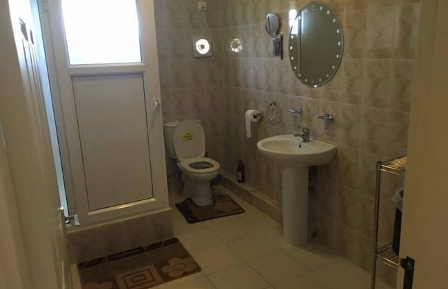 Faisan Dore - Photo 8